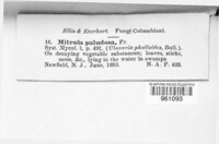 Image Associated With the Occurence